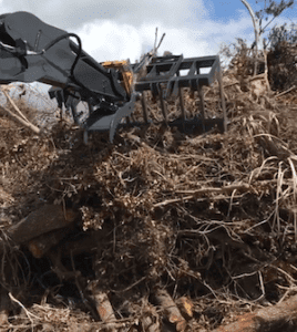 Image: Sons of David - Debri Removal, Tree and Stump Removal Services Florida