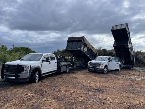 Image: Sons of David - Debri Removal Services Florida