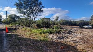 Image: Sons of David - Land Clearing Services Florida| Locations