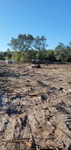 Image: Sons of David - Land Clearing Services Florida