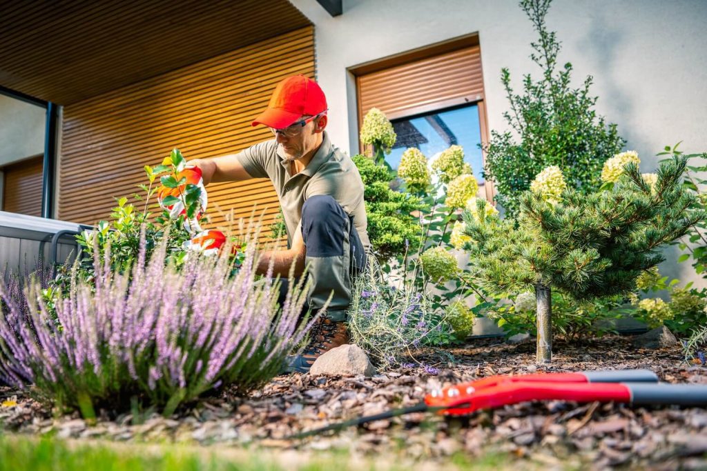 How Commercial Landscape Maintenance Brings in Customers and Drives Business care team lawn